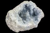 Blue Celestine (Celestite) Crystal Geode - Madagascar #87140-2